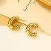 E01207 Women Stainless Steel Earring